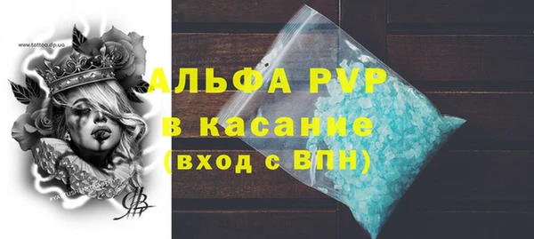 гидра Вязьма