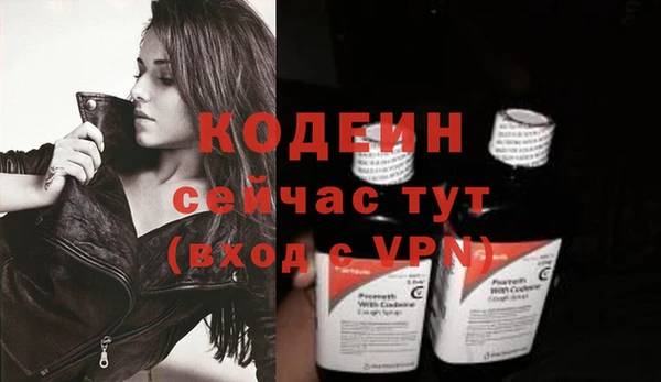 гидра Вязьма