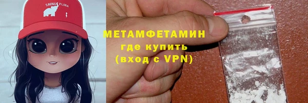 гидра Вязьма