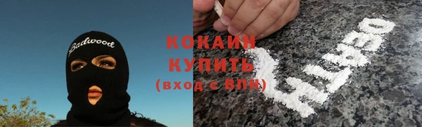гидра Вязьма