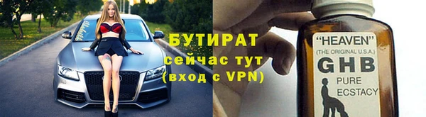 гидра Вязьма