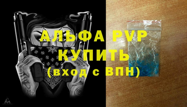 гидра Вязьма
