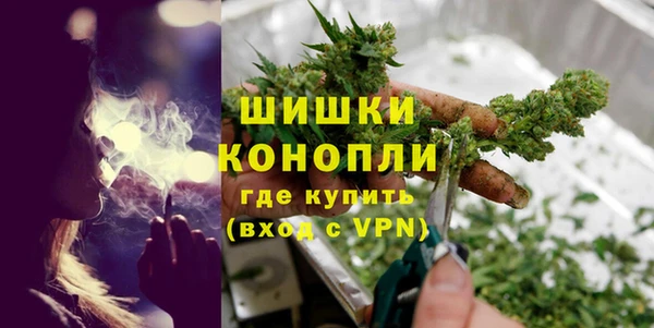 гидра Вязьма