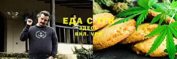 гидра Вязьма