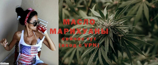 гидра Вязьма