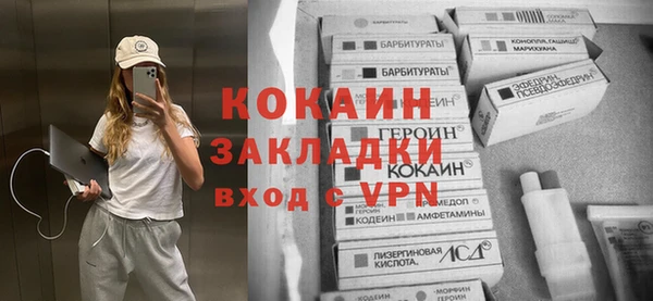 гидра Вязьма