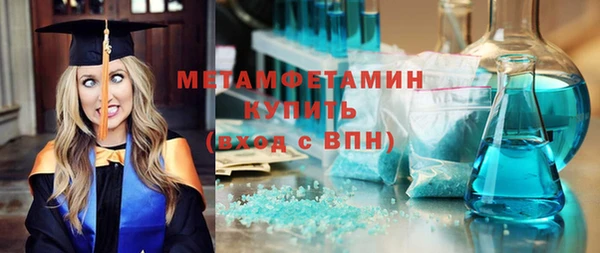 гидра Вязьма
