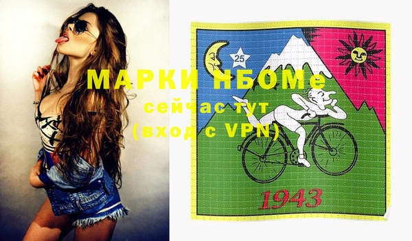 гидра Вязьма