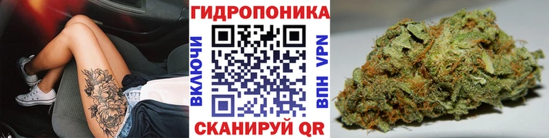 цена   Нижнекамск  Бошки Шишки гибрид 